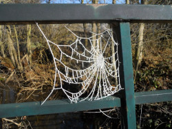 `Francis` desciende los term&oacute;metros en Cantabria: -12,2&ordm;C en Caba&ntilde;a Ver&oacute;nica, la m&iacute;nima nacional