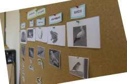 Galicia y Madrid, comunidades con mejor nivel de ingl&eacute;s en Espa&ntilde;a y Extremadura y La Rioja, las que peor, seg&uacute;n EF