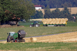 Ganader&iacute;a destina 456.000 euros a ayudas para asesorar a explotaciones agrarias c&aacute;ntabras