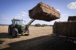 Gobierno extiende a diciembre la ayuda de 20 c&eacute;ntimos al gas&oacute;leo agr&iacute;cola y pesquero por alza de precios