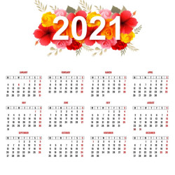 Hoy vamos a hablar de la cuesta de enero…. 2021. por Carlos Magdalena