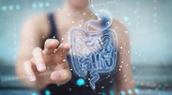 Identifican cambios en el microbioma intestinal tras una lesi&oacute;n medular