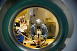 Identifican la prote&iacute;na que controla la respuesta inflamatoria del sistema inmune a la infecci&oacute;n