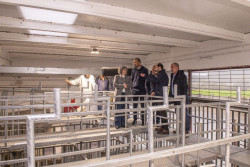 Inaugurada la nueva cuadra del Matadero de Torrelavega, 