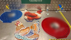 Incautados en Barajas m&aacute;s de 6 kilos de coca&iacute;na oculta en piezas artesanales en un vuelo desde Colombia