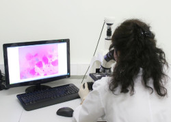 Inmunóloga llama a apostar por centros de excelencia traslacional para llevar las terapias avanzadas a los pacientes