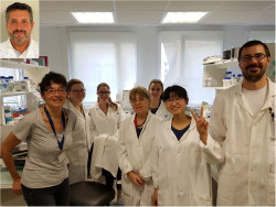 Investigadores de IDIVAL participan en un estudio que abre nuevas v&iacute;as para tratar la enfermedad inflamatoria intestinal
