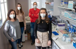 Investigadores del IBBTEC y de Valdecilla descubren una mutaci&oacute;n asociada al c&aacute;ncer de pulm&oacute;n m&aacute;s agresivo
