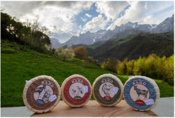 Isabel Casares y To&ntilde;o, de Queser&iacute;a Bar&oacute;&hellip;., por Pedro Arce