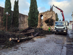 `Kristin` deja a su paso por Extremadura una racha de 150 km/h en Brozas y m&aacute;s de 40 litros durante la noche