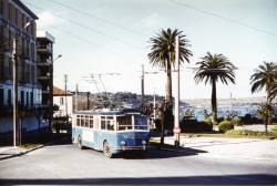 La alcaldesa  debería   devolver  a los vecinos del Sardinero la parada fija de bus de Plaza Colón que tiene más de 50 años de antigüedad  Por Carlos Magdalena