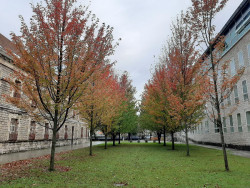 La Audiencia juzga hoy a un hombre por abusar de una compañera de trabajo