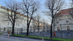 La Audiencia reafirma que no hubo maltrato a un perro al que se practic&oacute; la eutanasia por su estado y edad