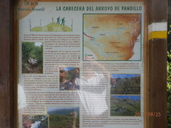 La cabecera del arrroyo de Pandillo  