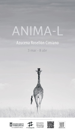 La calle Consolación de Torrelavega acogerá una muestra fotográfica sobre fauna salvaje