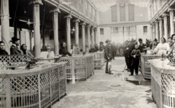 `La Chata`, de casamentera