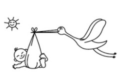 La cig&uuml;e&ntilde;a