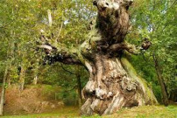 La climatología de Cantabria es un lujo para nuestros visitantes