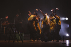 La compa&ntilde;&iacute;a c&aacute;ntabra `Al aire flamenco` celebra una d&eacute;cada en el escenario con el estreno de un espect&aacute;culo