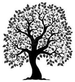 La diabólica encrucijada Catalana