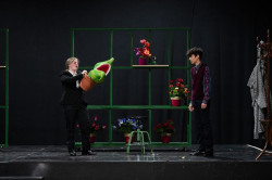 La Escuela de Artes Esc&eacute;nicas del Palacio de Festivales estrenar&aacute; el 16 de abril el musical `La tienda de los horrores`