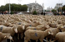 La España más negra