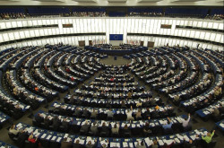 La Eurocámara pide  eliminar la  protección de lobos y osos para defender al ganado