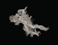 La exposici&oacute;n colectiva `Al borde del tiempo` se inaugura este jueves en la Biblioteca Central