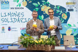 La Fiesta de los Limones Solidarios, declarada de Inter&eacute;s Tur&iacute;stico Regional