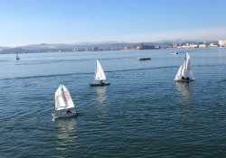 La flota Snipe santanderina no pudo navegar por falta de viento.