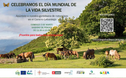 La Fundación Camino Lebaniego celebra el Día de la Vida Silvestre con una Gymkhana de Naturaleza