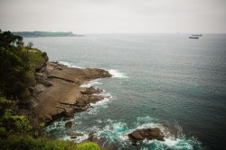 La Fundación Naturaleza y Hombre revela un "declive" de poblaciones de caballitos de mar en la Bahía de Santander