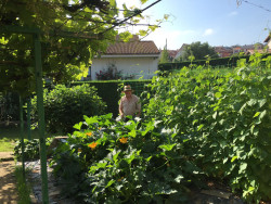 La Huerta de don Pedro 