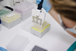 La OMS eleva a seis los casos confirmados de hantavirus el positivo de un contagio sospechoso