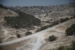 La ONU. que no sirve para nada, recuerda a Israel que la expansión de asentamientos es "ilegal" y viola el Derecho Internacional