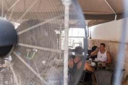 La temperatura subir&aacute; a partir del mi&eacute;rcoles hasta superar los 43&ordm;C en el sur peninsular, con lluvia d&eacute;bil en el norte