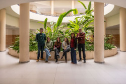 La UJI prueba con eficacia moléculas que serían capaces de bloquear el crecimiento de células cancerosas