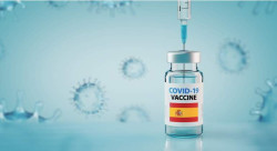 La vacuna española contra la COVID-19 del CNB-CSIC protege de la infección y el daño cerebral por el virus