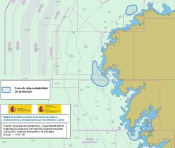 Las interacciones con orcas disminuyen en Espa&ntilde;a un 30% excepto en el norte, donde se registra un ligero aumento