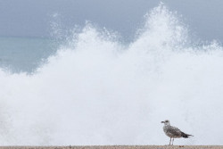 Las lluvias seguir&aacute;n en Catalu&ntilde;a y Canarias, con avisos por olas en el litoral c&aacute;ntabro, catal&aacute;n y vasco