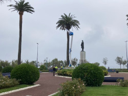 Las palmeras de la Plaza de las Brisas.   Por Carlos Magdalena