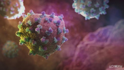 Las personas que eliminan la hepatitis C de forma espontánea tienen más riesgo de sufrir enfermedades, según un estudio