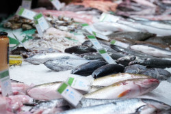 Las pescader&iacute;as reclaman al Gobierno eliminar el IVA de los productos pesqueros antes de la subida de precios