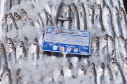 Las pescaderías vuelven a reclamar la bajada del IVA ante la fuerte caída del consumo