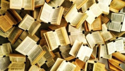 Lectura y mal progresismo.   Jos&eacute; Antonio &Aacute;vila L&oacute;pez