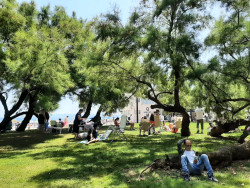 Llegó el verano a Santander con el todo gratis, y los okupas de Mesones. Carlos Magdalena