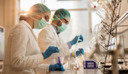 Logran un gran avance en la ingenier&iacute;a de tejidos gracias a la "memoria de forma" que favorece su crecimiento
