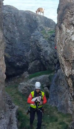  Los bomberos rescatan en un acantilado de Ajo a una cabra reci&eacute;n nacida y a su madre