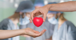 Los corazones de donantes que consumieron drogas ilegales o tuvieron sobredosis son seguros para trasplantes