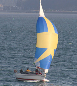 Los cruceros santanderinos volvieron a los recorridos fijos